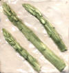 Asparagus angle white 4 x 4