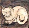 Cat Curled dark brown background