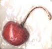 2" red cherry on white