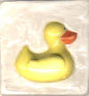 Duckie white
