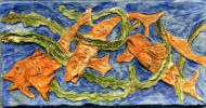 vernuill fish blue orange