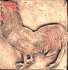 Rooster 6 x 6 