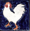 rooster crowing 