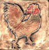 rooster crowing right