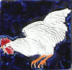 rooster flapping cobalt white